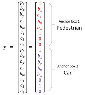 anchor box output